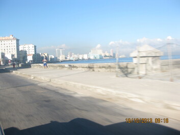 photo 583422