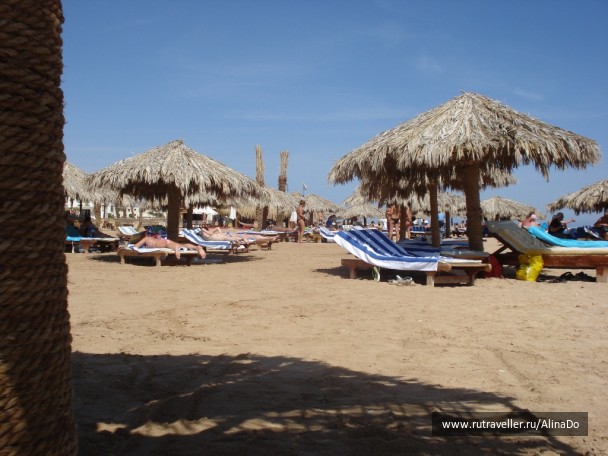 photo 229731