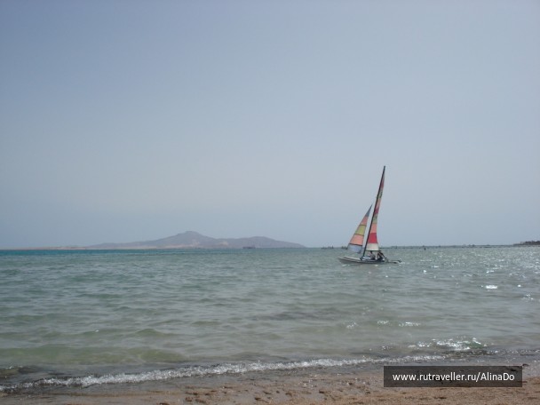 photo 229736