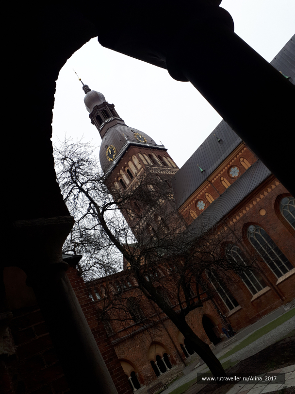 photo 1461551