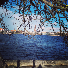 photo 1461556