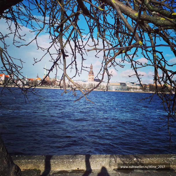 photo 1461556