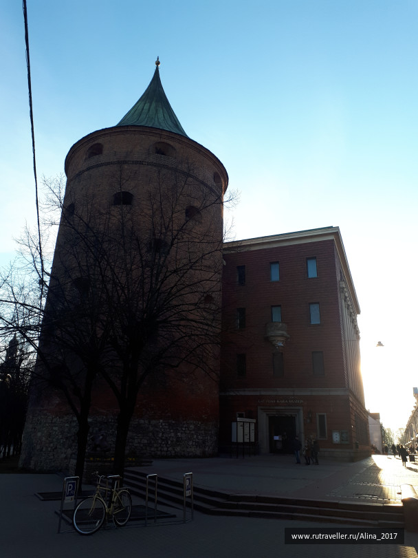 photo 1461560