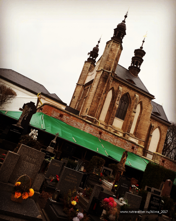 photo 1445623