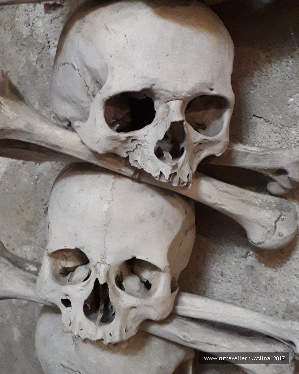 photo 1445624