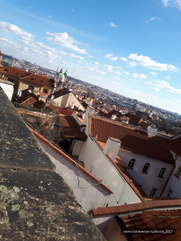 photo 1445661