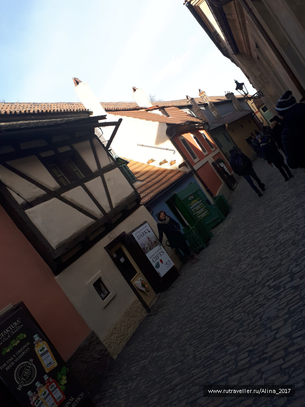 photo 1445662