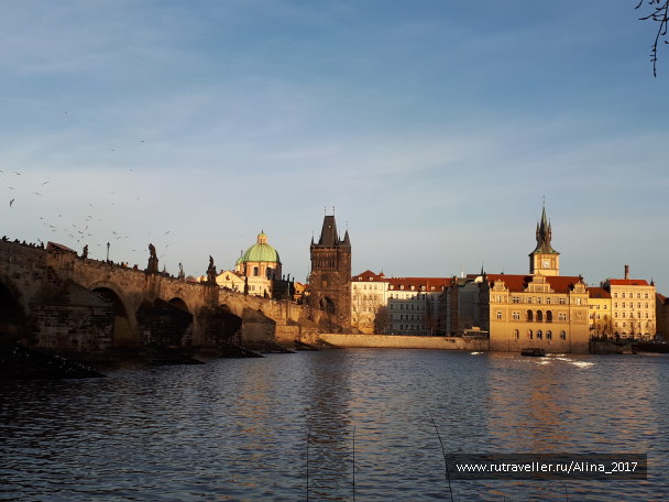 photo 1445665