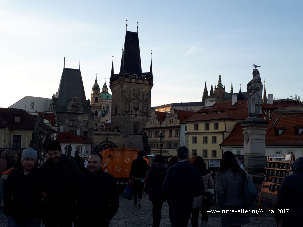 photo 1445666