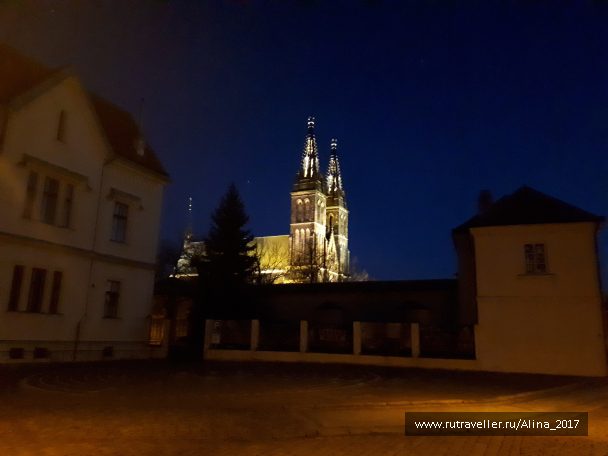 photo 1445668