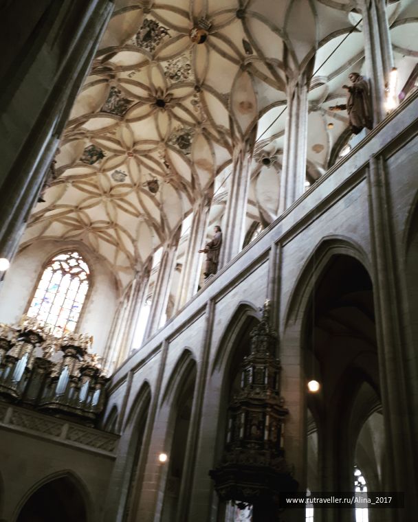 photo 1445676