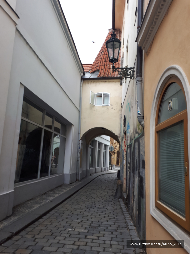 photo 1445657