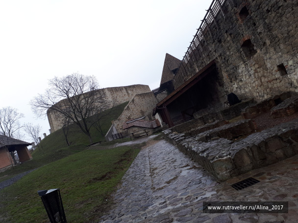 photo 1609783