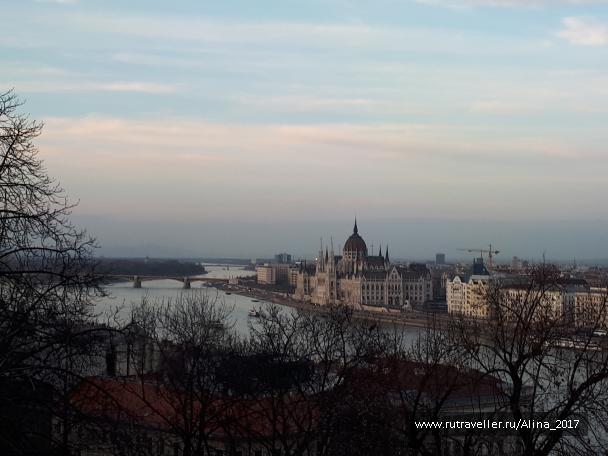 photo 1616277
