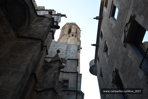 photo 1619191