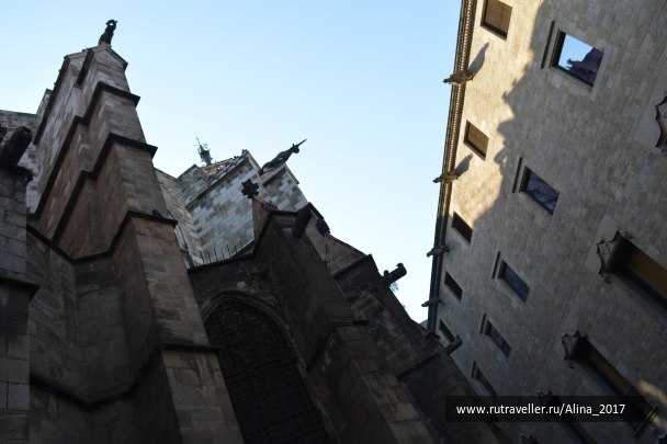 photo 1619192