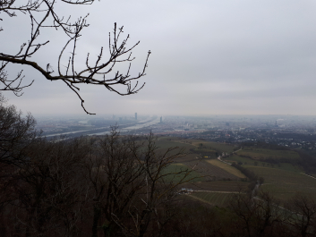 photo 1612706