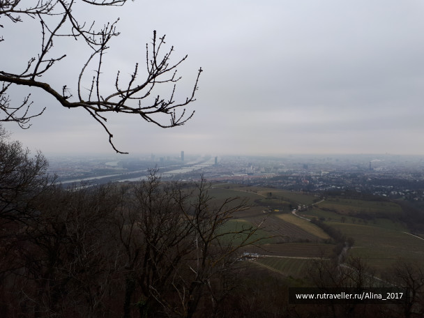 photo 1612706