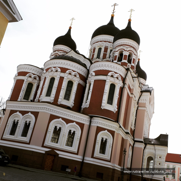 photo 1459767