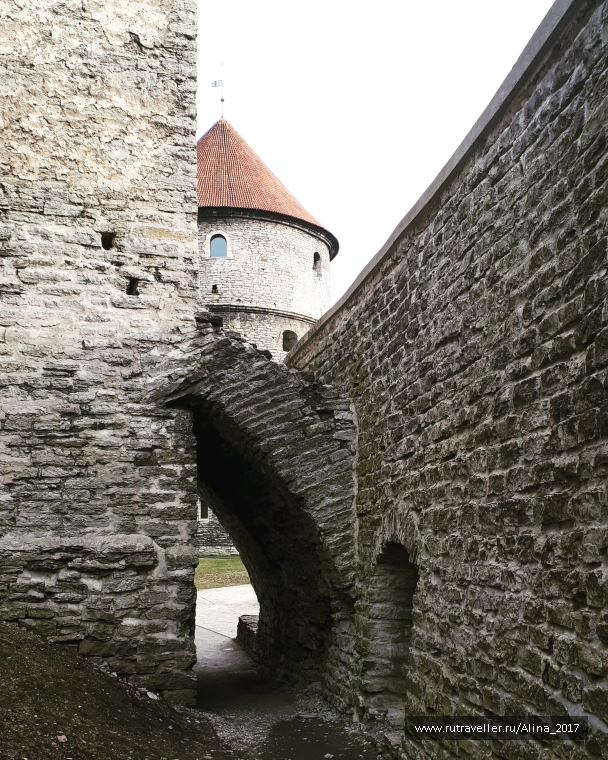 photo 1459775