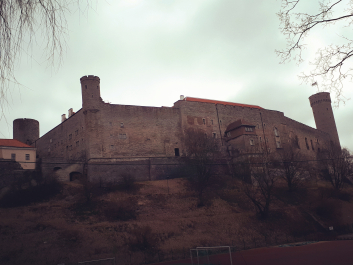 photo 1459973