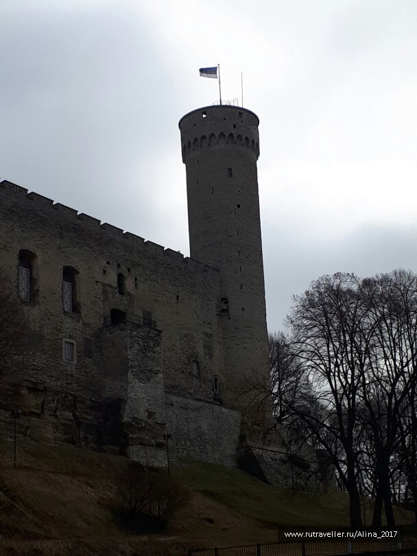 photo 1619391