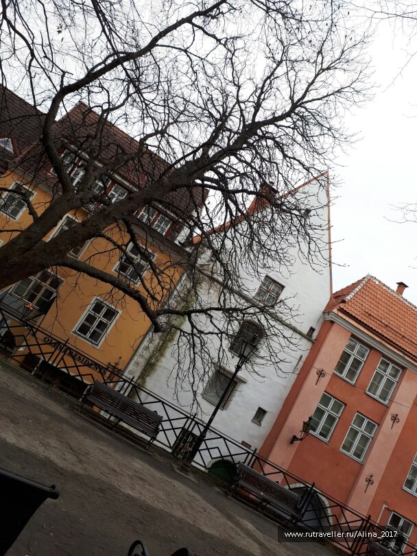photo 1619395