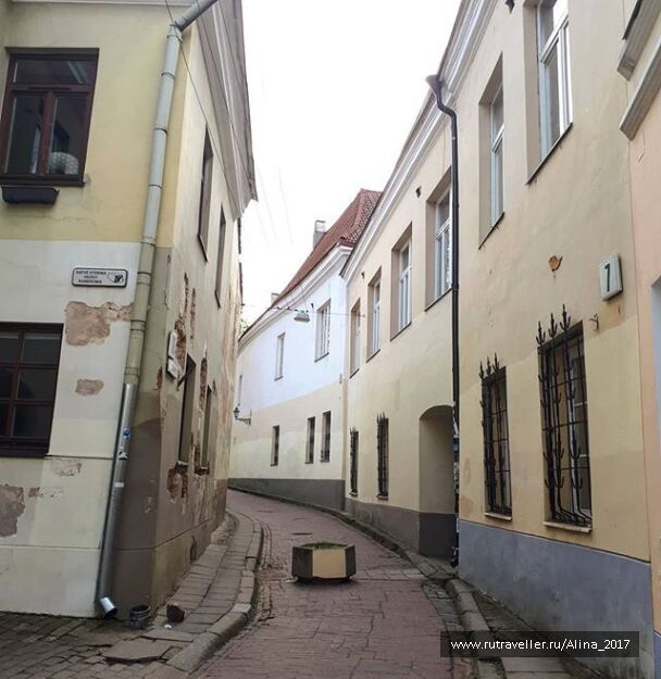 photo 1625877