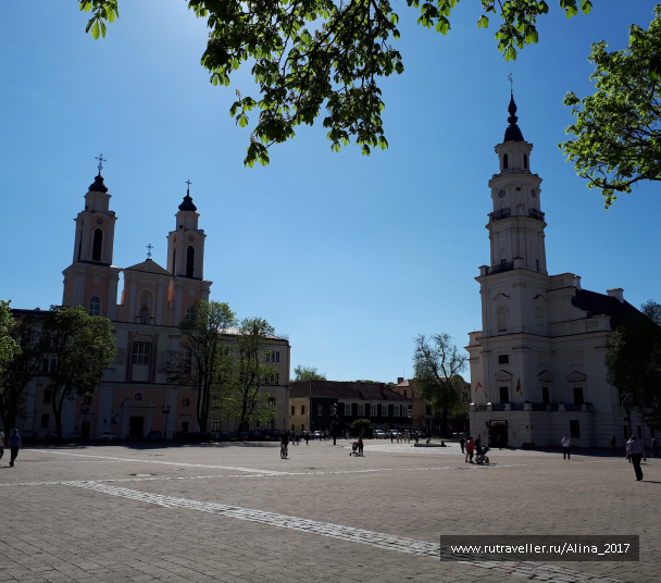 photo 1626441
