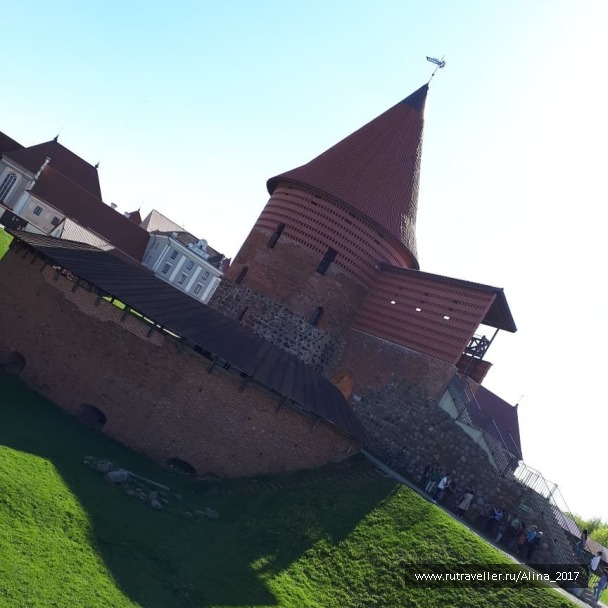 photo 1626445