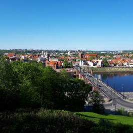 photo 1626447