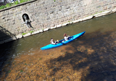 photo 1631519