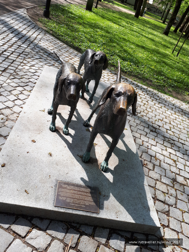photo 1631521