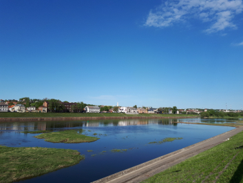 photo 1631530