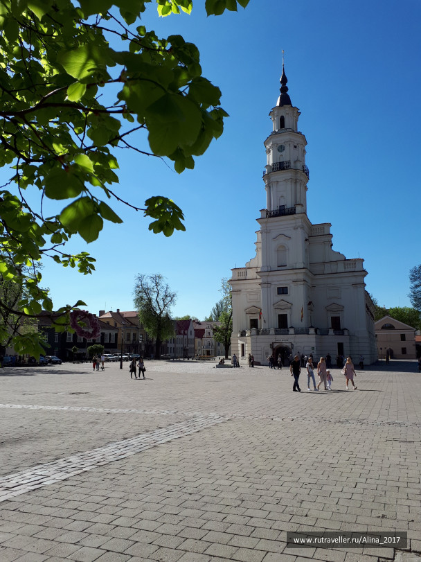 photo 1631532
