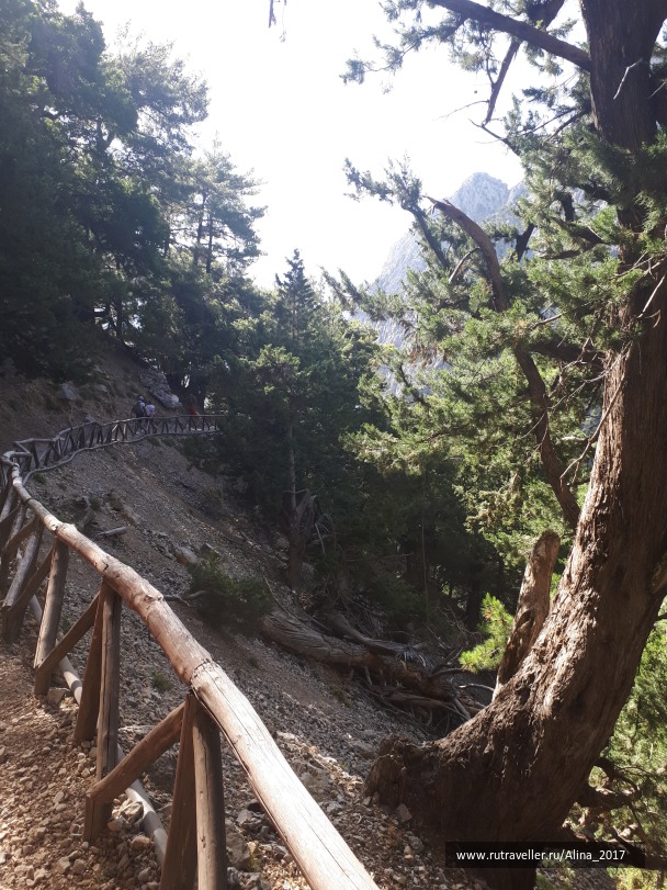 photo 1645094