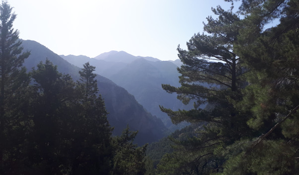 20180614_092507