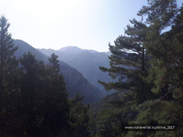 photo 1645099