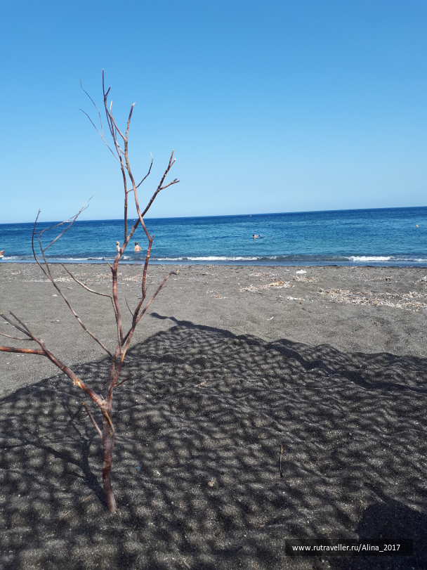 photo 1645101