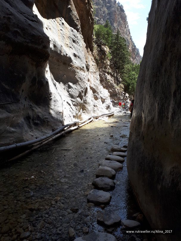 photo 1645108