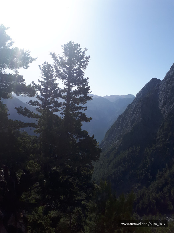 photo 1645110