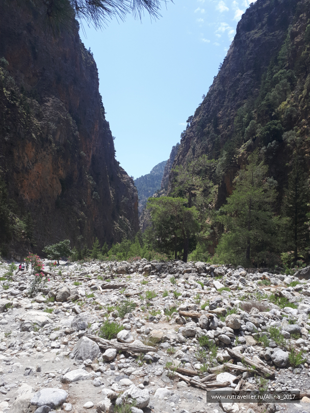 photo 1645111