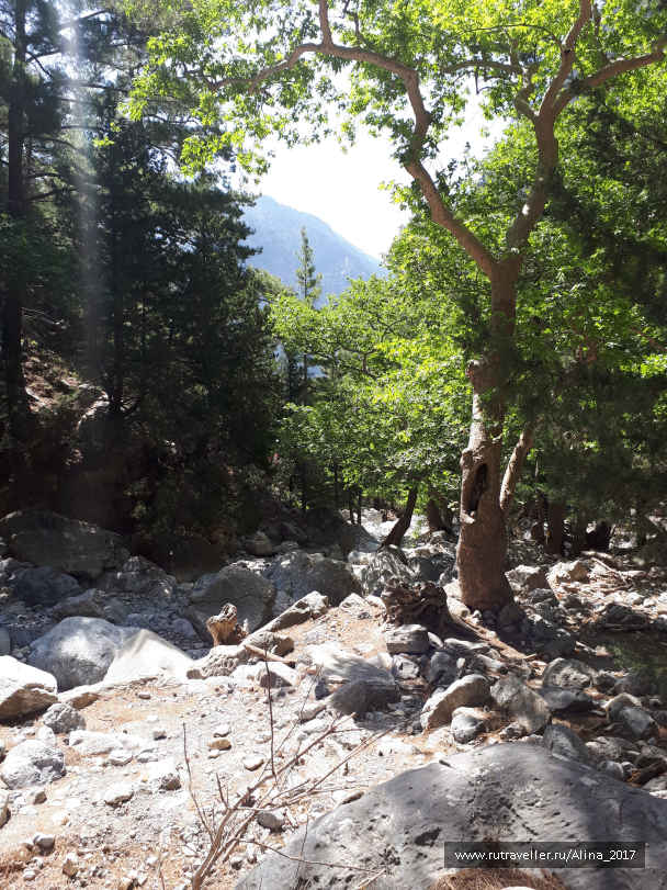 photo 1645112
