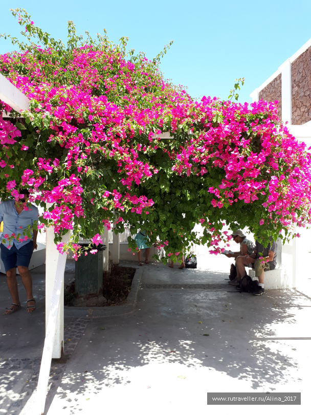 photo 1645113