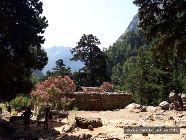 photo 1645114