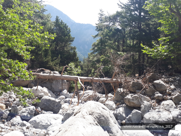 photo 1645116