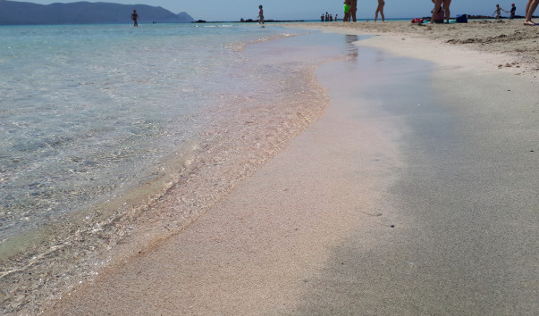 20180613_114904(0)