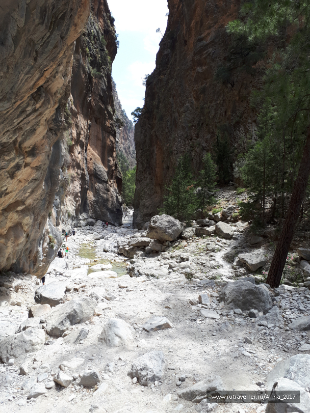 photo 1645119