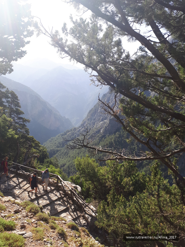 photo 1645129
