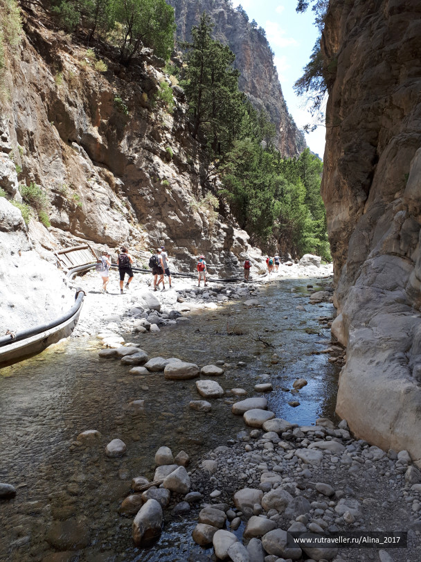 photo 1645131